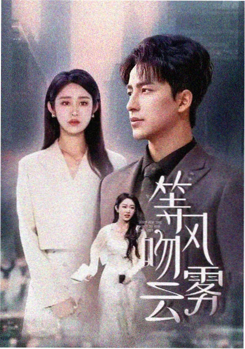 薄萝·长安夜行剧集封面